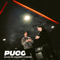 DAAN DE HAARDT & DISSO - Puco