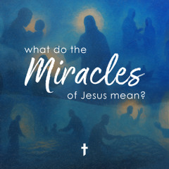 How Jesus Shows Up in the Middle of Your Grief | Sean Flanagan