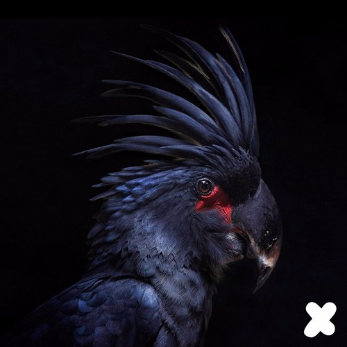 Dr Parnassus - Dragonfly (Ben & Vincent Remix)- Free Download