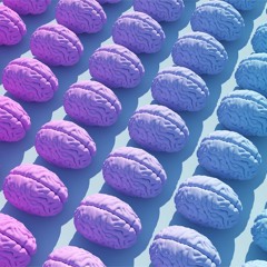 המוח שלו המוח שלה