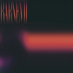 Barnevil