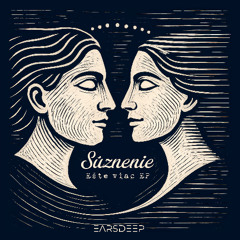Suznenie - Funk a Brother Original Mix