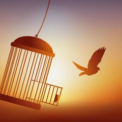 caged bird