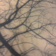 life at the crossroads