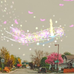 Blossom Lane