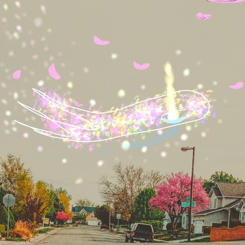 Blossom Lane