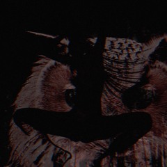 ᛊᚲᚱᛁᚠ Nocturne for a Dying World (Mithra Records full Debut set)