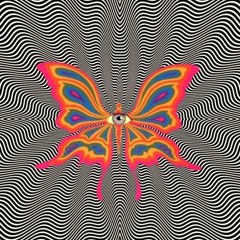 LIV'S JOURNEY (DULCE ☯︎ ZENTI)