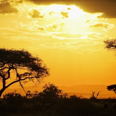 Africa - Uplifting and Happy Background Music For Safari & Videos (FREE DOWNLOAD)