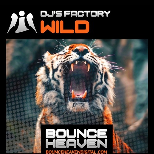 DJS Factory - Wild [sample]