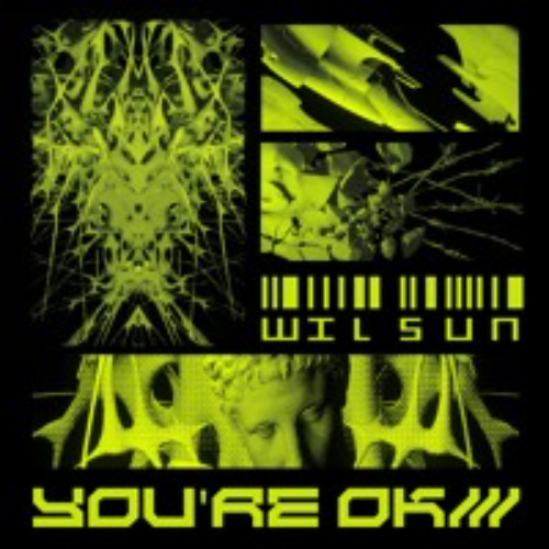 WilSun - You're Ok EP