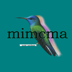 medəˈmôrfəsəs (INTRO) | 2023-08-20 20_23
