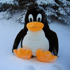 Penguin Club