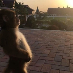 missing