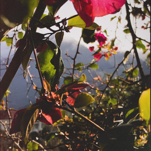 Thoại 009...(raw) - feat Chaco🌸