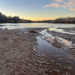 Until We All Are Free