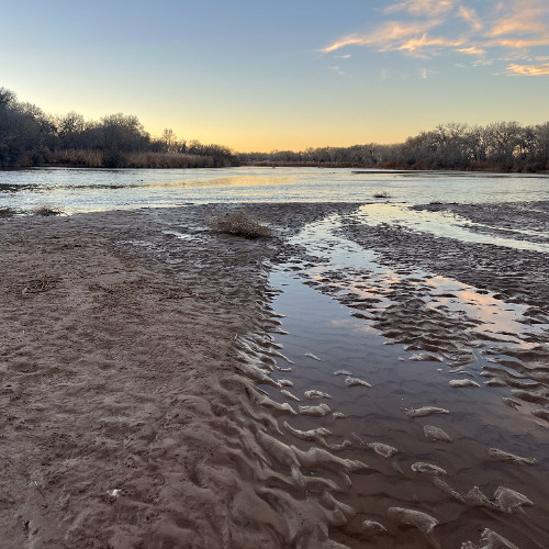 Until We All Are Free