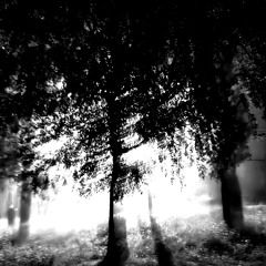 Lets Make A Memory (prod. kenzee)