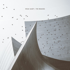 NWS040: Weak Sleep Remixed