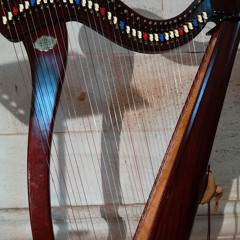 Harp Beat