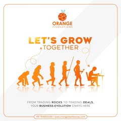 Software Company — orange IT Software