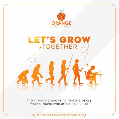 Software Company — orange IT Software