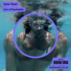 Solar Panel: Show For Palestine - Radio Buena Vida 03.02.24