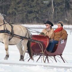 Sleigh ride