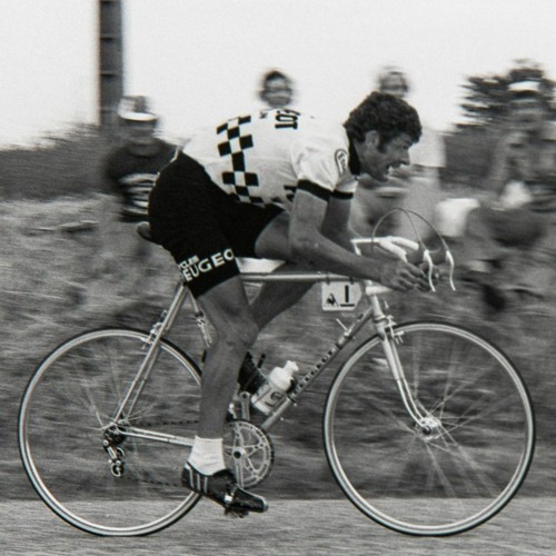 Bernard thevenet velo sale