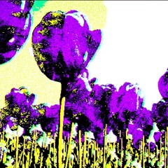stripes_idkdoyou_final_w_ster.wav - Crust (RE:yall hear that bass? - Drive In Color X Rocky)