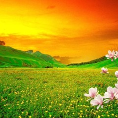 Night To Mornin' - 6:23:23, 4.44 PM