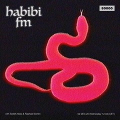 Radio 80000 - Habibi FM - Raphael Schön