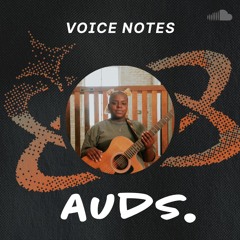 Voice Notes: Auds. on "Strangers"