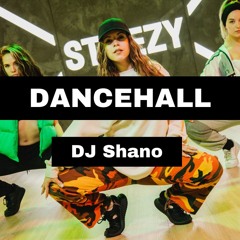 DANCEHALL LIVESET 2023 | #3| The Best of Reggeatton & Dancehall 2024 by Dj Shano