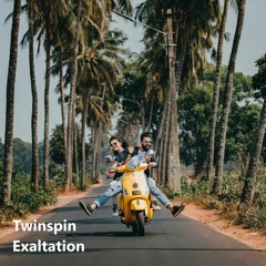 Twinspin - Exaltation (Radio Mix)