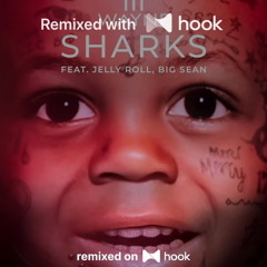 Lil Wayne x Chill Children - Sharks (feat. Jelly Roll, Big Sean) x Opal (@sonicjester023 Hook Mashup)