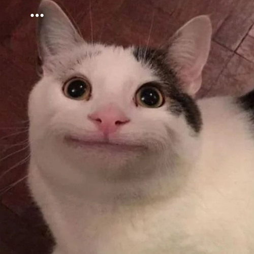 شبينا عمي