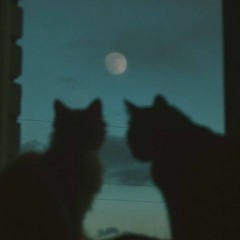 9geek - crashNburn (1lvcxs + heavengazerr) [slump audios exclusive + dj sam]