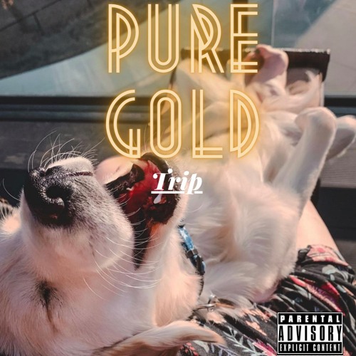 Trip x Pure Gold