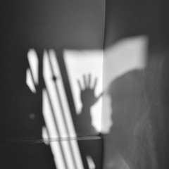 Ghostly Shadows