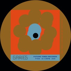 Garies - In Bits EP - FT054