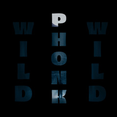 wild phonk K - Kevin Wild
