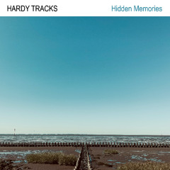 Hidden Memories