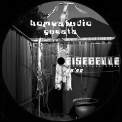 HOMESTUDIO GUESTS: EISEBELLE