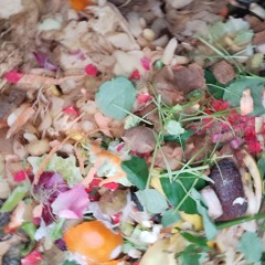 Compost Heap