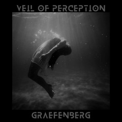 Veil of Perception
