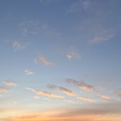 ノート