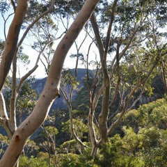 Katoomba