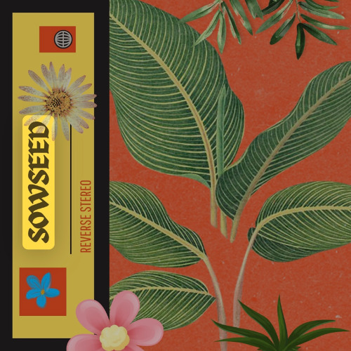 Sowseed