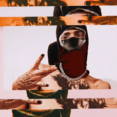 Warlord Cursed - when the night falls